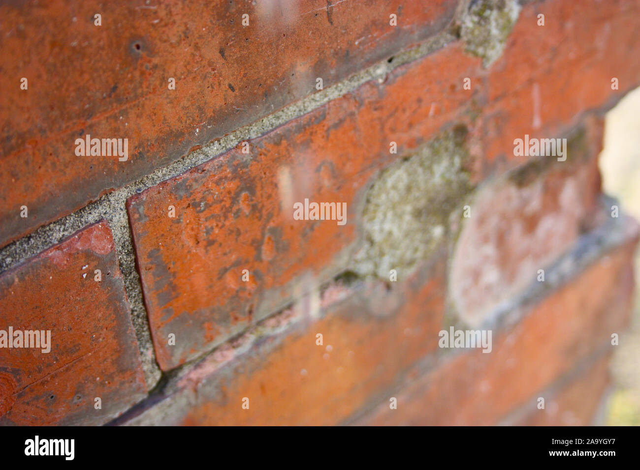 old red brick wall. drop of falling water pushed down by gravity Stock