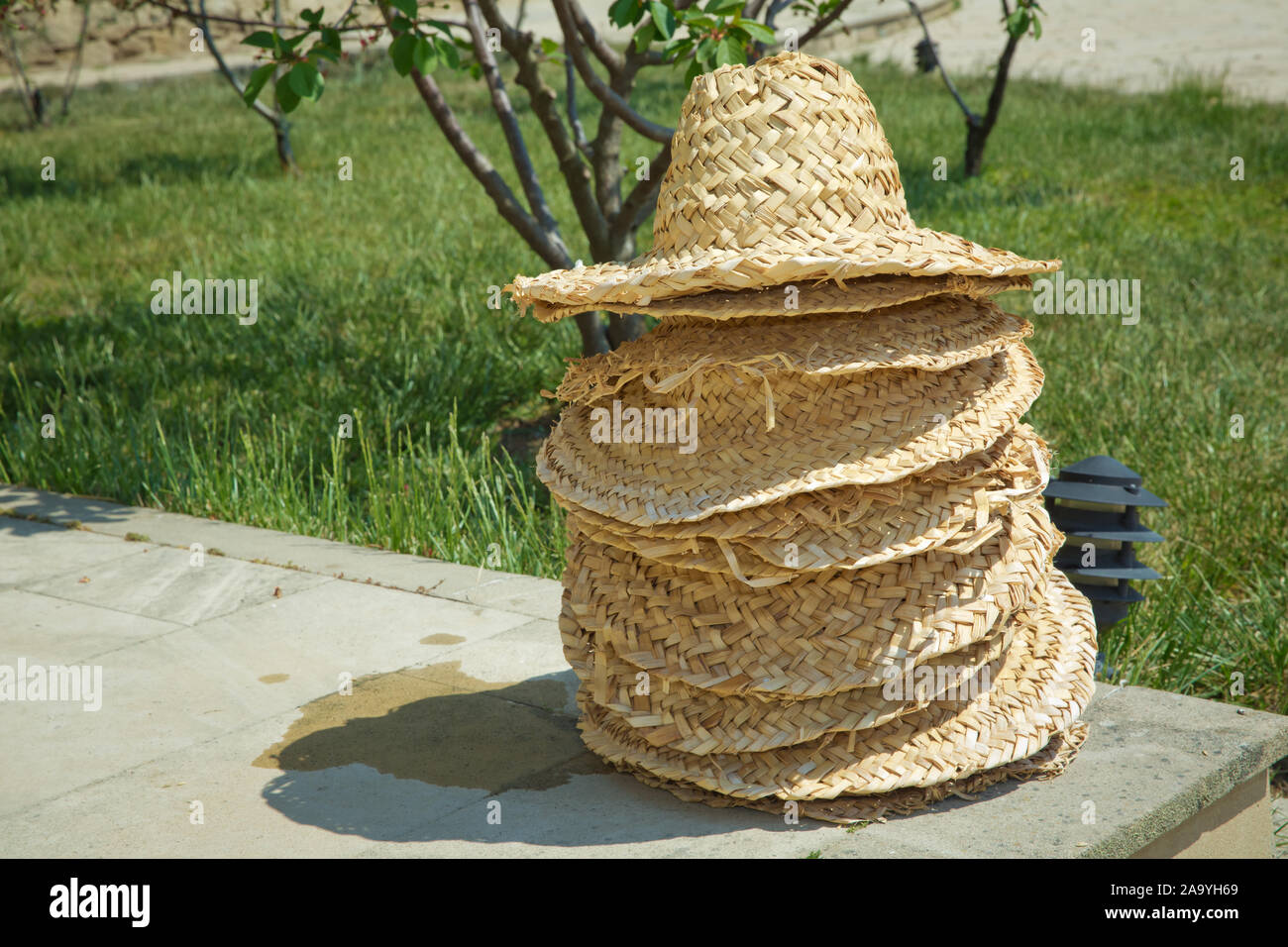 summer straw natural fiber weave caps . A basketry hat, top view . Hats
