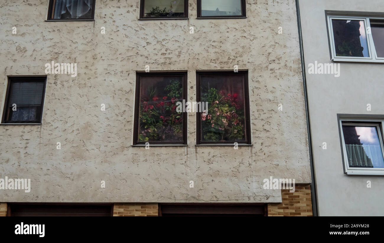 Stained glass window of a building with flowers that seems to reproduce a pictorial composition called still life. Stock Photo