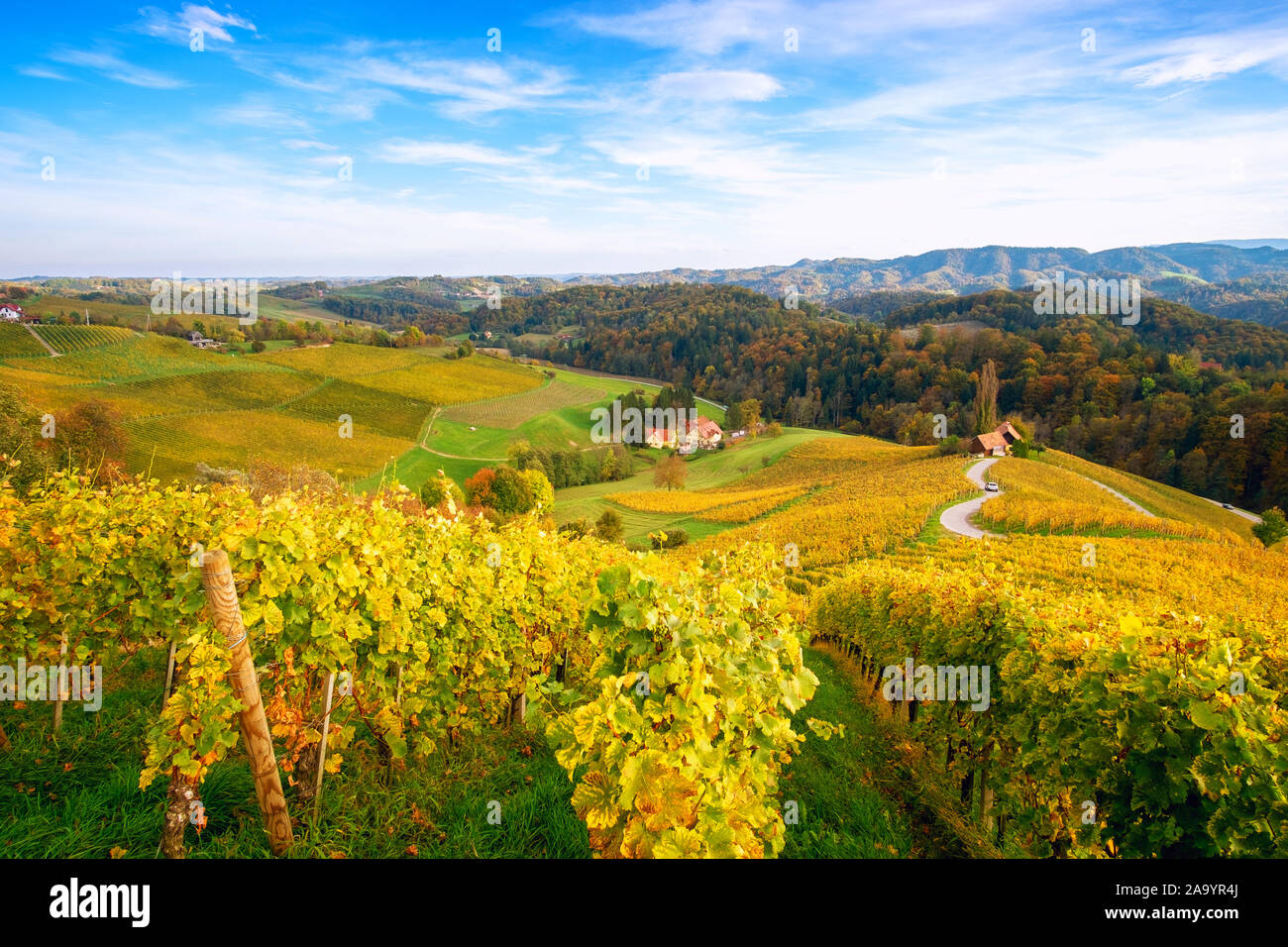 Famous Heart shaped wine road in autumn, view from Spicnik near Maribor in Slovenia. Stock Photo