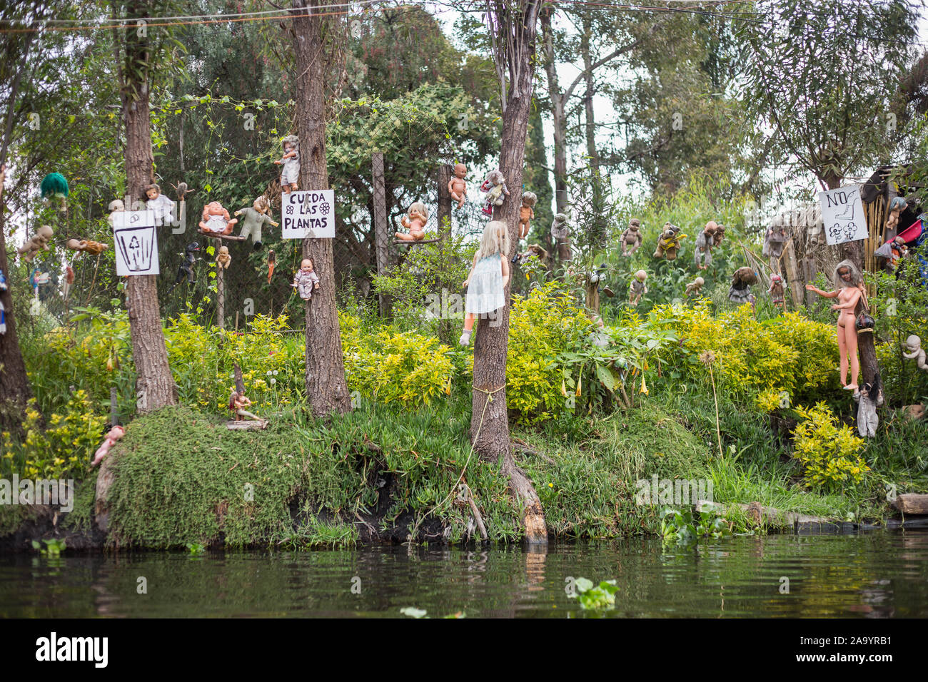 Creepy doll island, dolls hanging at Xochimilco, Mexico Stock Photo Alamy