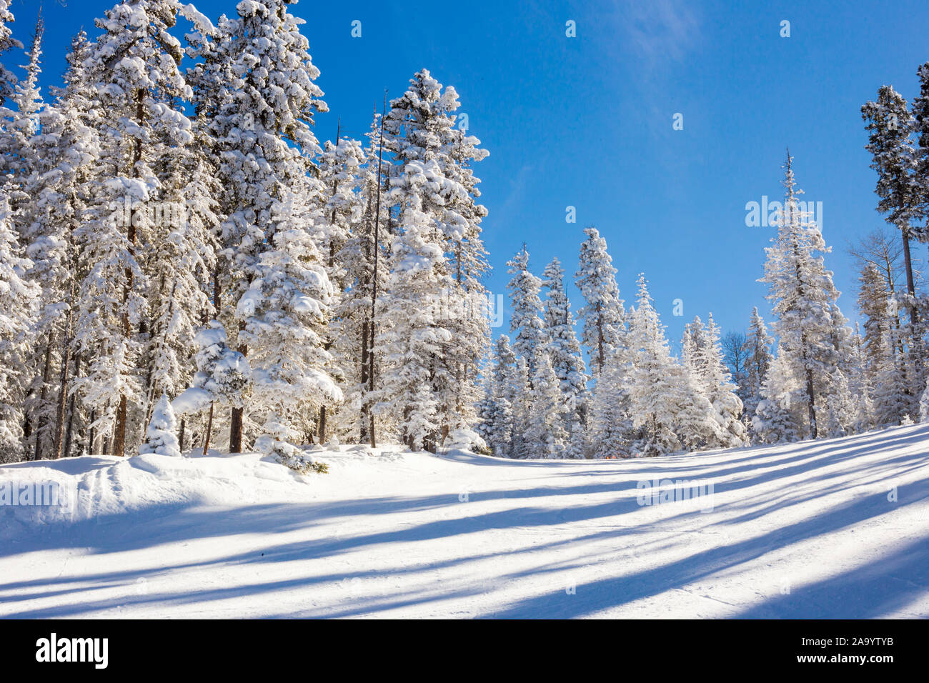 View at the ski slopes piste in the mountains of Angel Fire, New Mexico Stock Photo Alamy