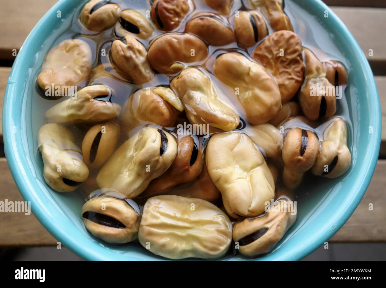 Koukia, Greek Fava beans being soaked in water, prior to being cooked. Crete, Greece Stock Photo