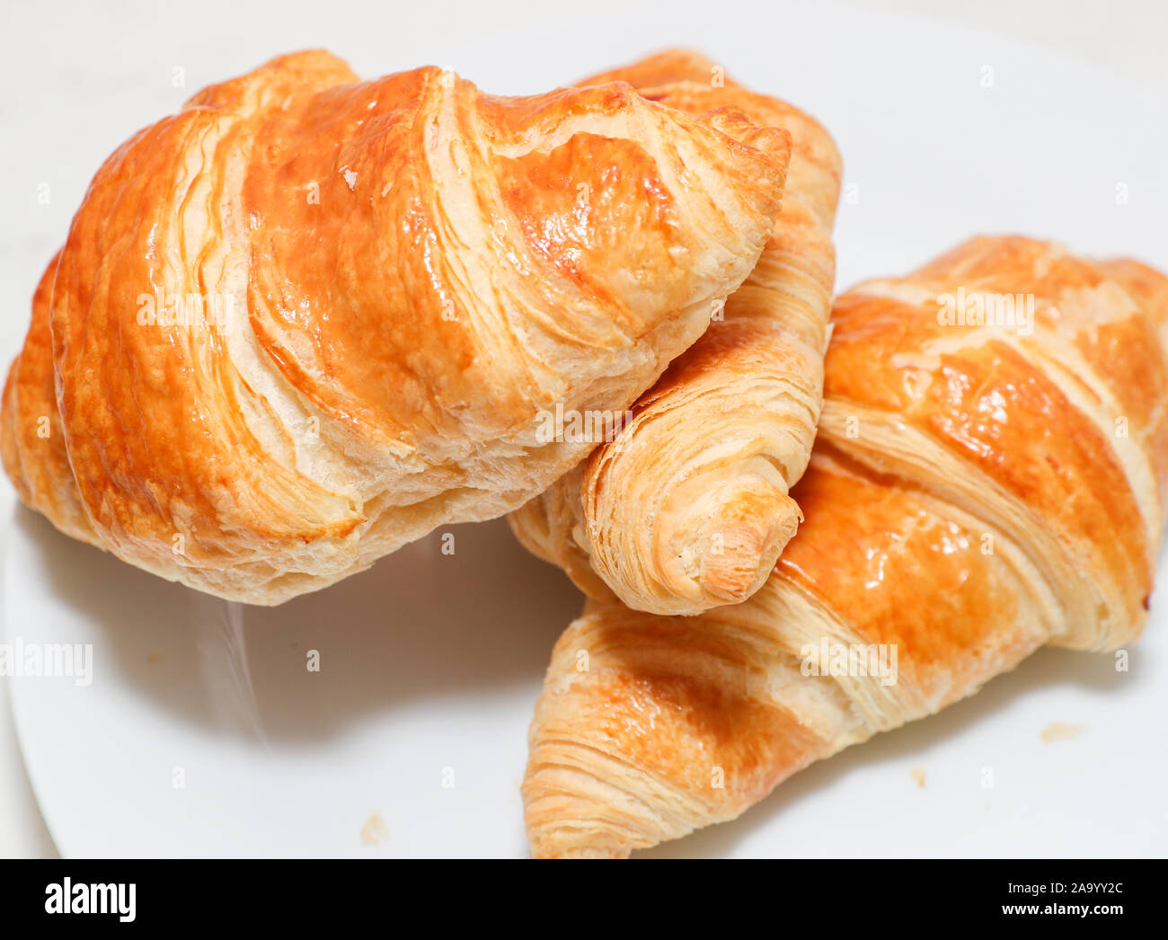 Plain croissant on white background - Image Stock Photo