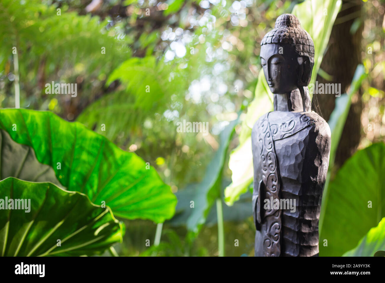 Buddha statue in the forest used as amulets of Buddhism religion - meditation. Stock Photo