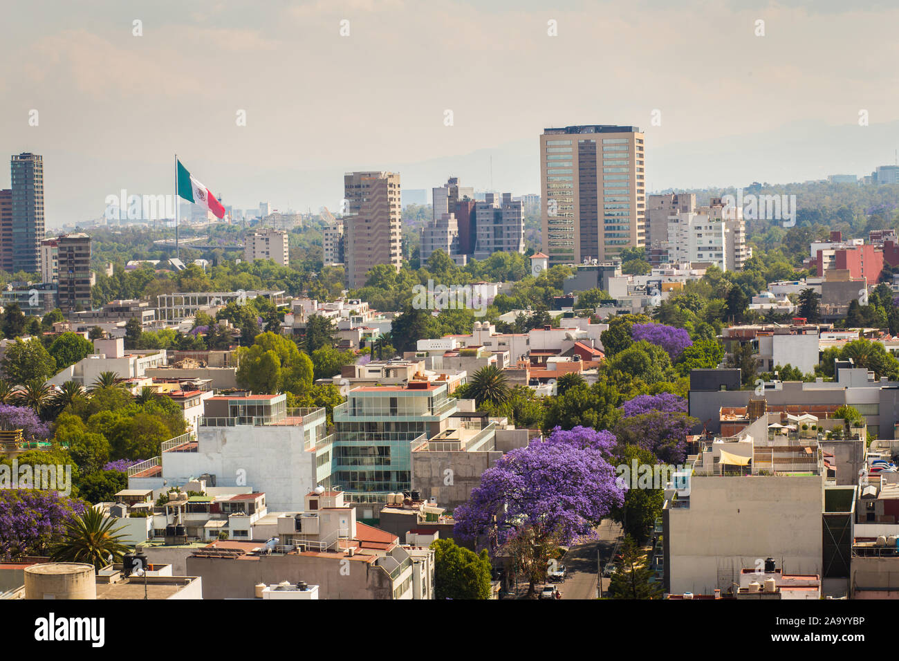 Panoramic View of Mexico City with flag  - Mexico. Stock Photo