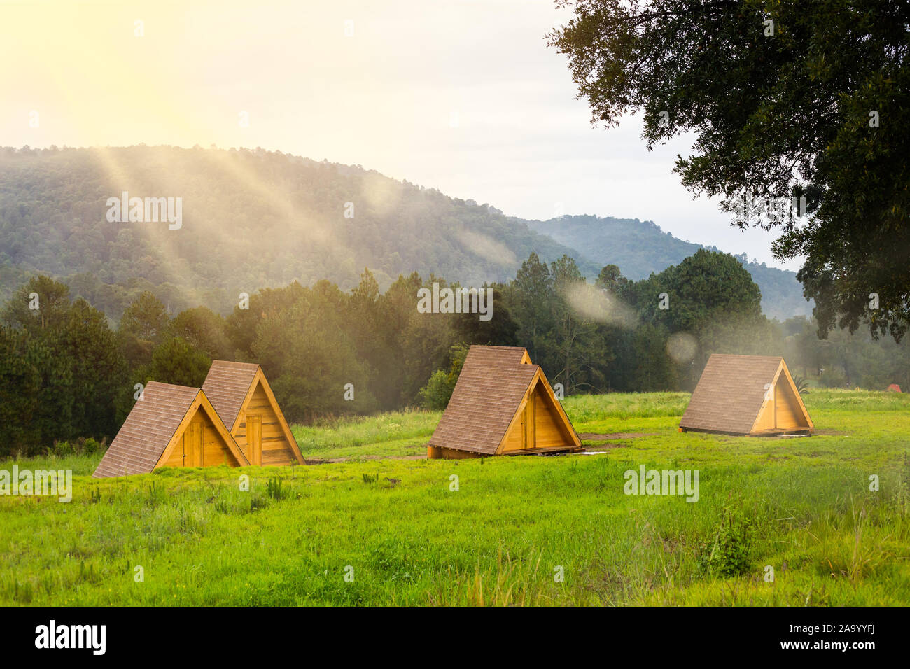 Cabins under the pine forest in sunset at Santuario de las Luciernagas  forest in tlaxcala, Mexico Stock Photo - Alamy