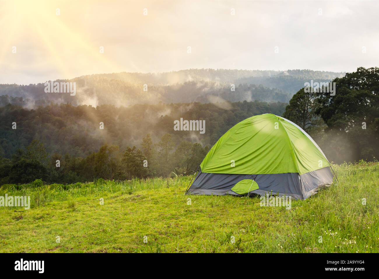 Camping and tent under the pine forest in sunset at Santuario de las  Luciernagas forest in tlaxcala, Mexico Stock Photo - Alamy