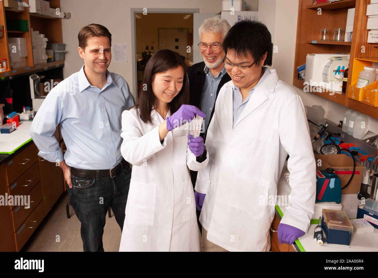 Two researchers wearing white coats and gloves manipulate a test tube in a laboratory at the Johns Hopkins University in Baltimore, Maryland, while two other researchers, including nanomedicine professor Justin Hanes (L), look on, January 30, 2009. From the Homewood Photography collection. () Stock Photo