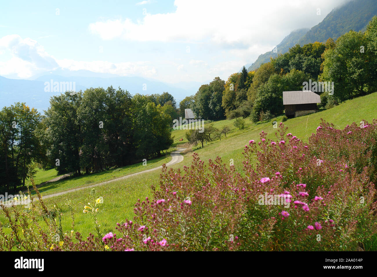Landscape of Savoie France Stock Photo Alamy