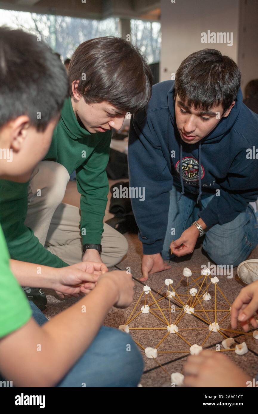 Close-up shot of a team of students building a tower constructed from spaghetti and marshmallows, during the annual Whiting School of Engineering Tower of Power event, at the Johns Hopkins University, Baltimore, Maryland, February 16, 2009. From the Homewood Photography Collection. () Stock Photo