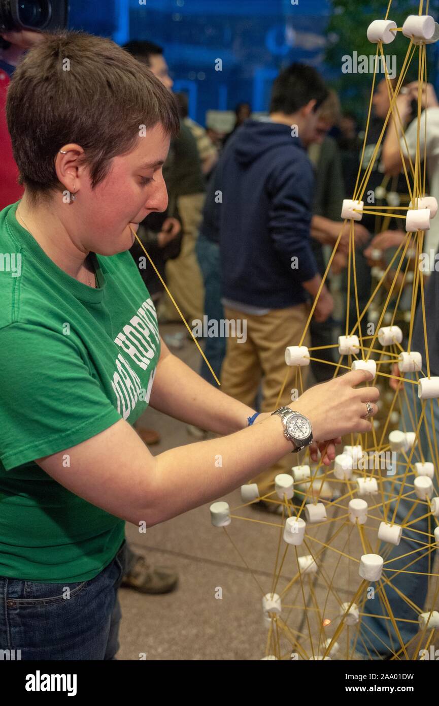 Profile view of a team member building a tower constructed from spaghetti and marshmallows, during the annual Whiting School of Engineering Tower of Power event, at the Johns Hopkins University, Baltimore, Maryland, February 16, 2009. From the Homewood Photography Collection. () Stock Photo