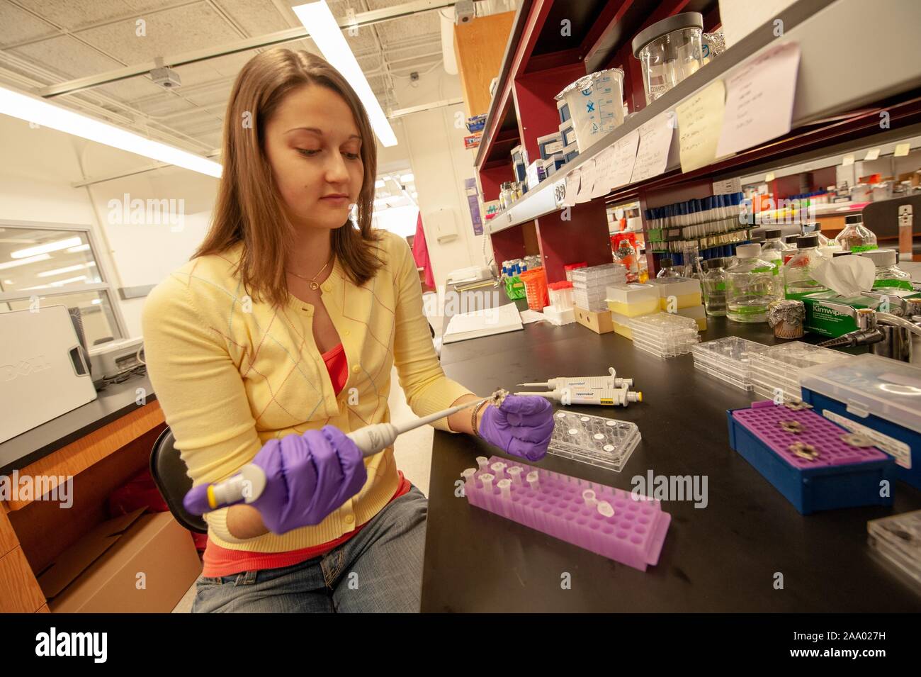 Slightly angled shot of a gloved person, working with a dropper and test vials, in the Department of Chemical and Biomolecular Engineering (ChemBE) at the Johns Hopkins University, Baltimore, Maryland, March 4, 2009. From the Homewood Photography Collection. () Stock Photo