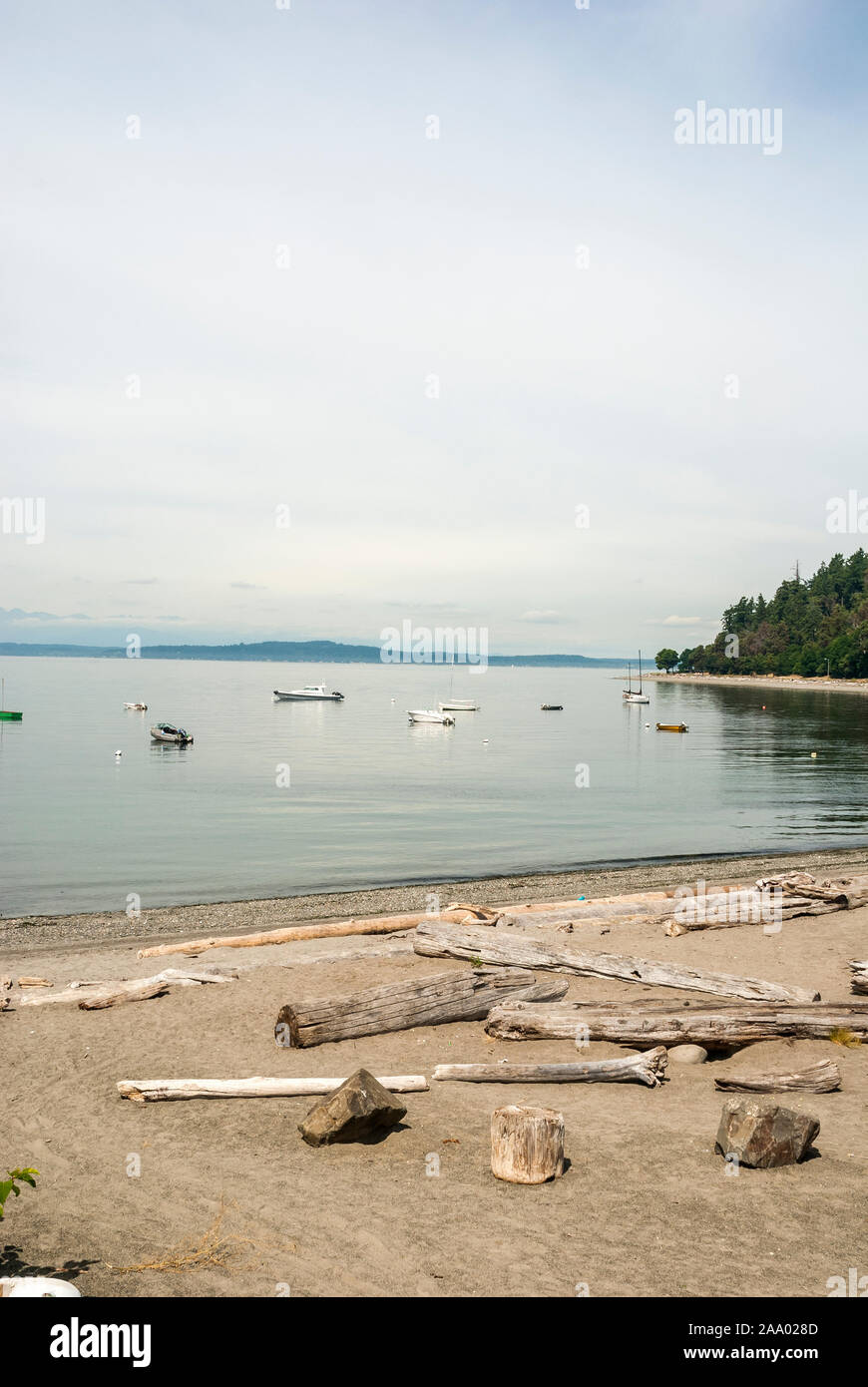 Driftwood on the sand on a beach and boats moored out in the water in West Seattle, Washington. Stock Photo