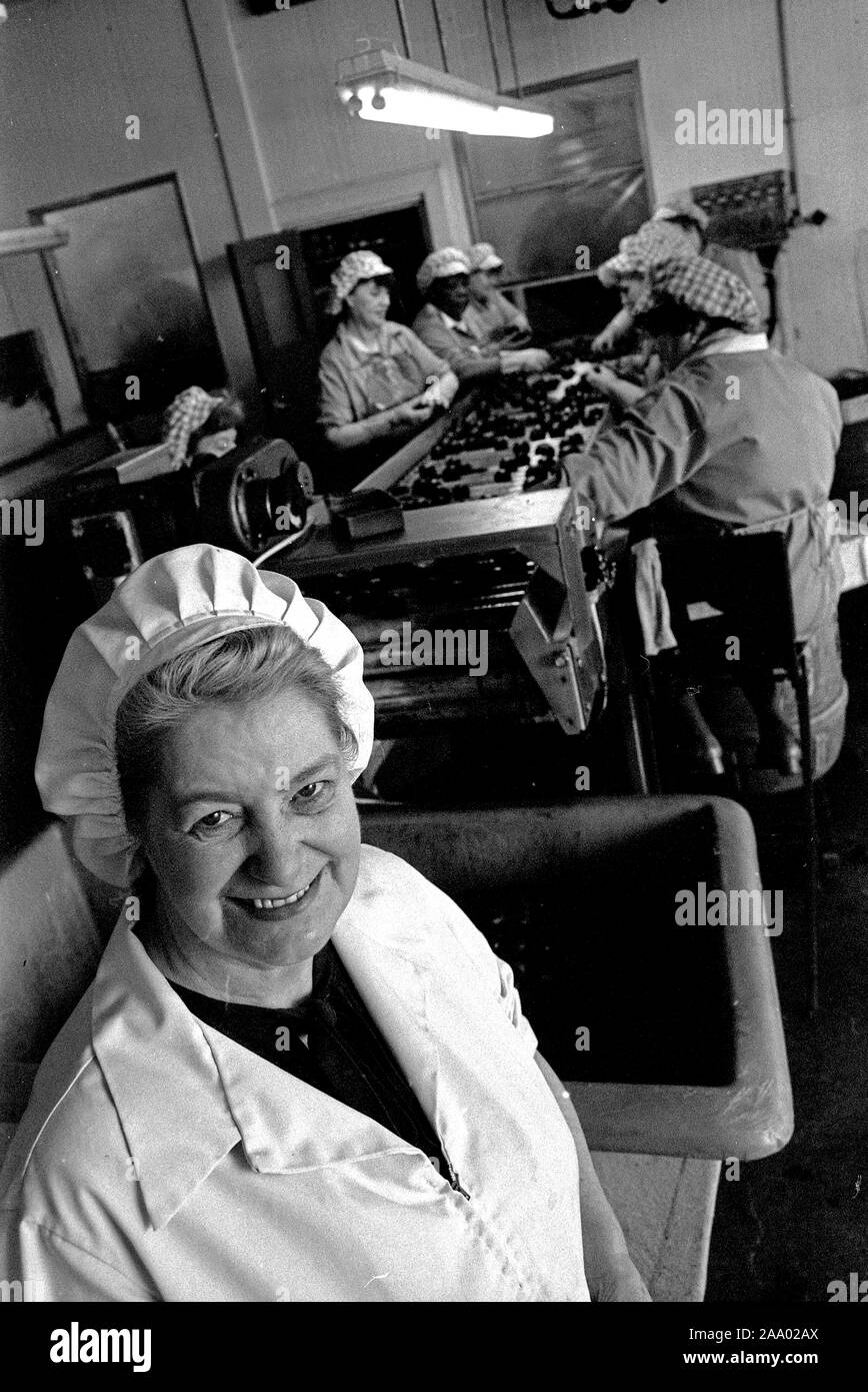 Chocolate confectionery workers on the production line in York, England, Uk 1985 Stock Photo