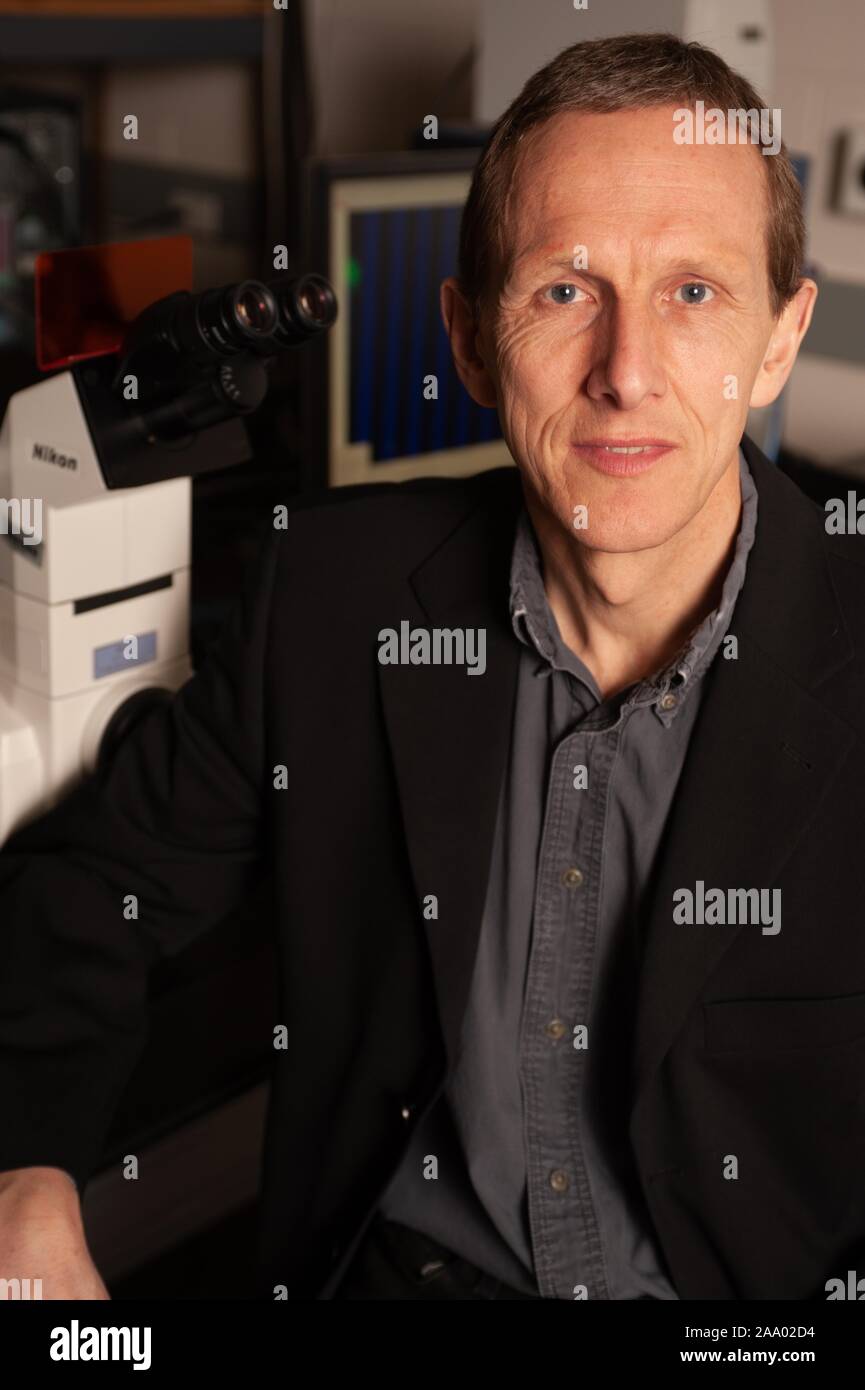 High-angle shot of Peter C Searson, professor of Engineering and Materials Science, sitting in front of a microscope and facing the camera, at the Johns Hopkins University, Baltimore, Maryland, March 4, 2009. From the Homewood Photography Collection. () Stock Photo