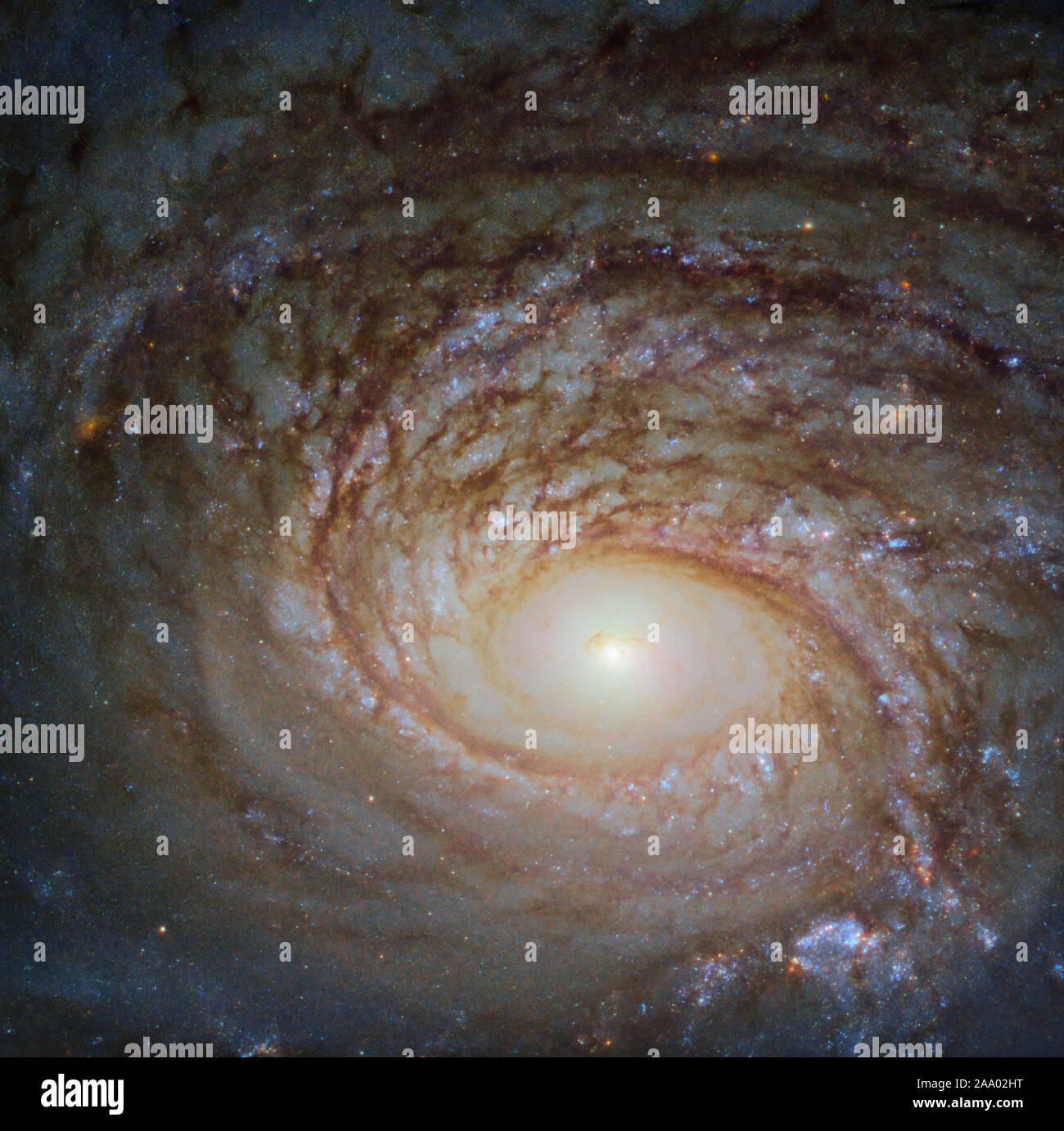 The Universe is so vast that it can be challenging to maintain a sense of scale. Many galaxies we see through telescopes such as the NASA/ESA Hubble Space Telescope, the source of this beautiful image, look relatively similar: spiraling arms, a glowing center, and a mixture of bright specks of star formation and dark ripples of cosmic dust weaving throughout. This galaxy, a spiral galaxy named NGC 772, is no exception. NGC 772 is both a peculiar and an unbarred spiral galaxy; respectively, this means that it is somewhat odd in size, shape, or composition and that it lacks a central feature kno Stock Photo