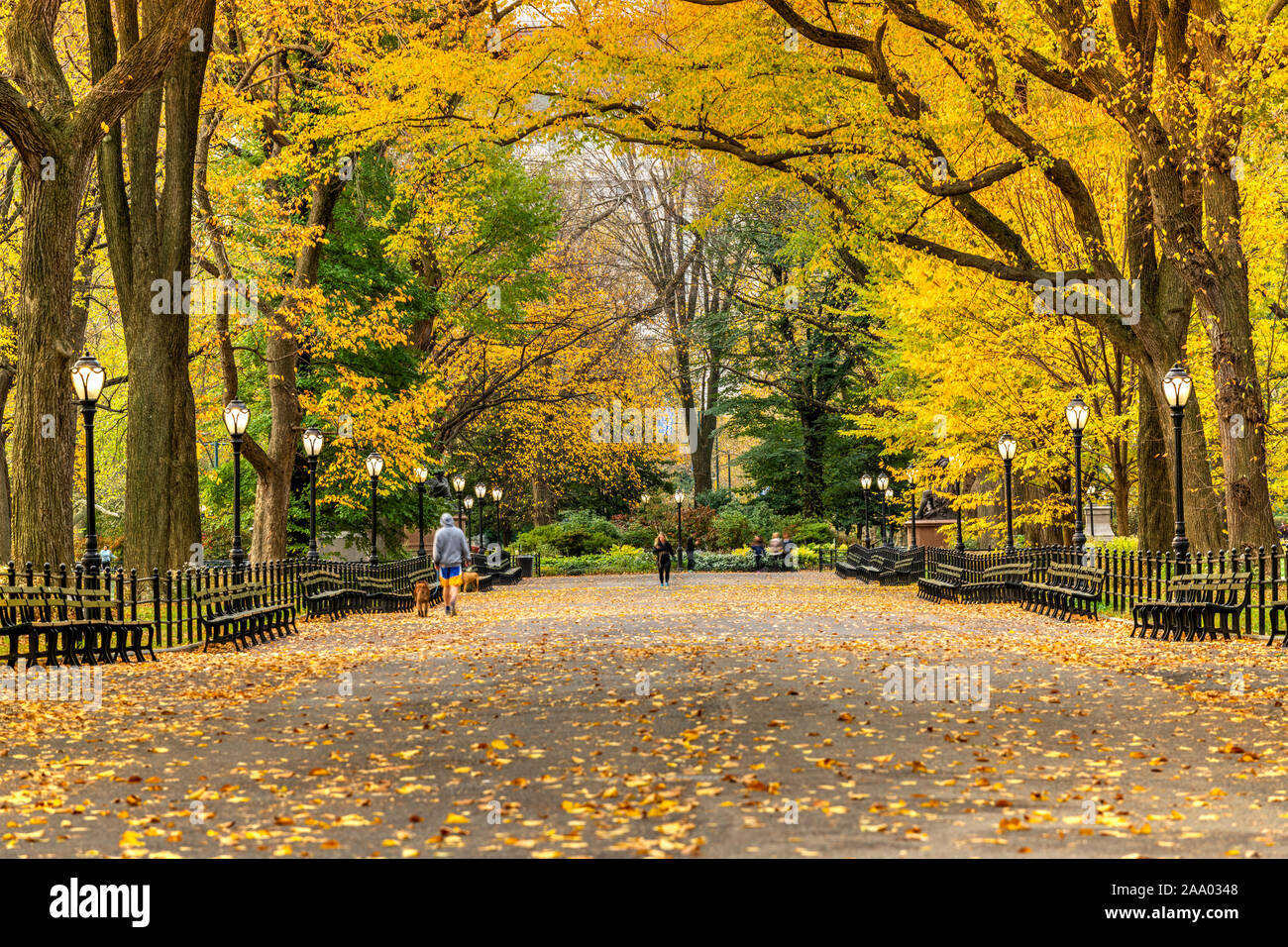 Autumn view of the Mall and Literary Walk, Central Park, Manhattan, New York, USA Stock Photo