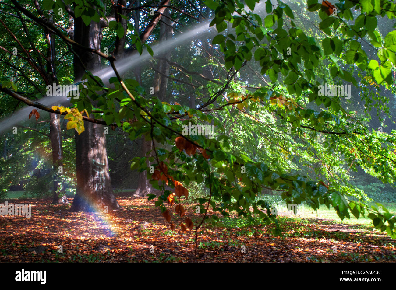 Public park nature Tiergarten central city garden in Berlin Germany ...