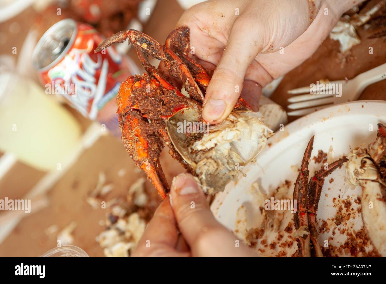 Students participate in a Crab Feast, with Maryland blue crabs, an