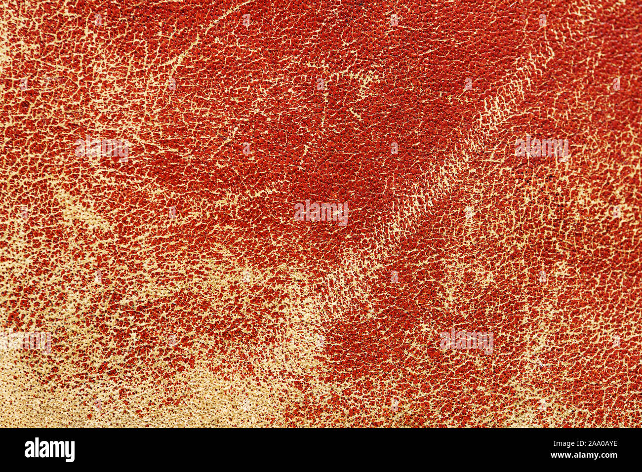 Old Leather Texture. Abstract background Stock Photo