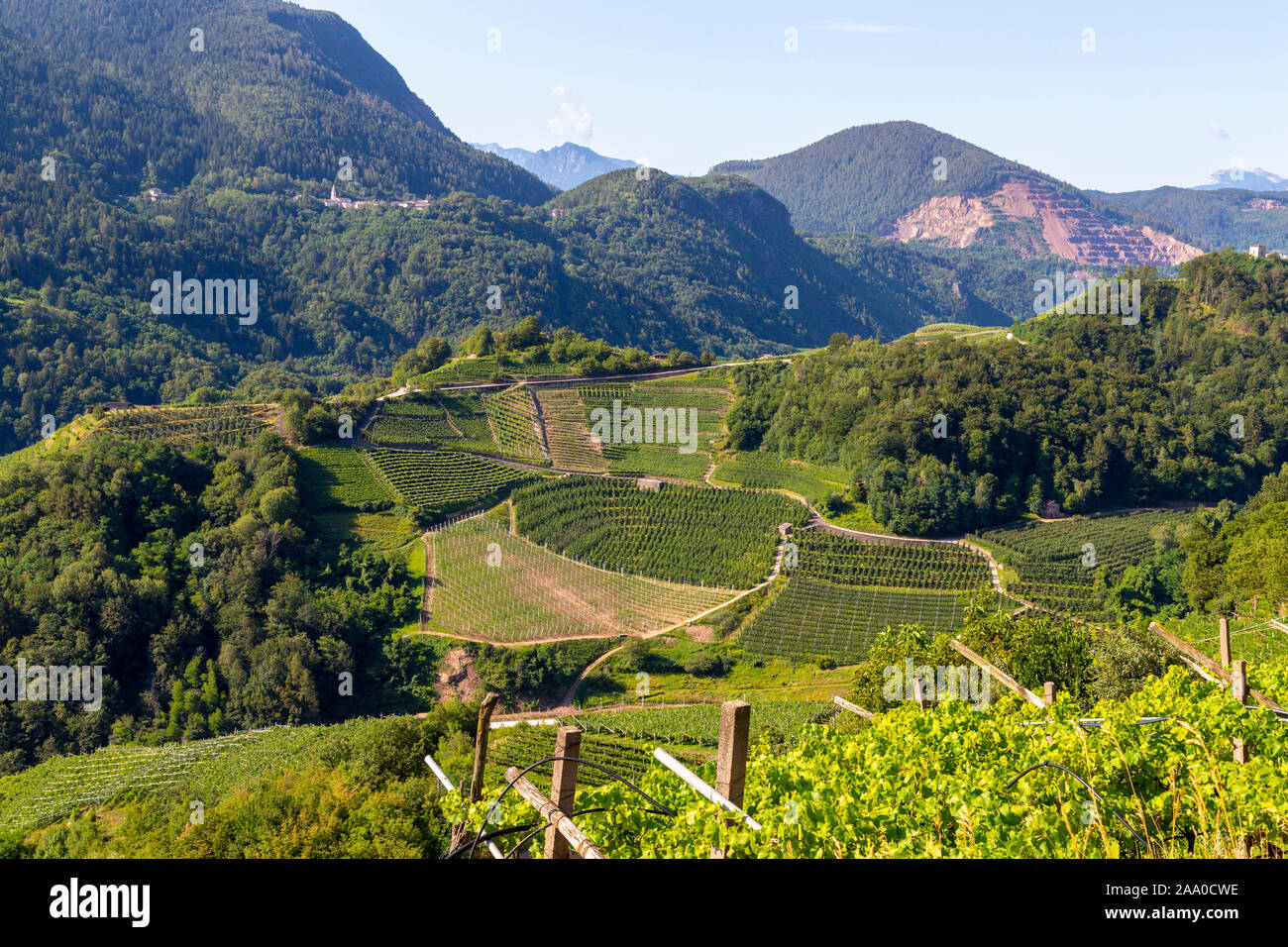 Green, stepped terraces where vineyards are grown forming a beautiful landscape Stock Photo