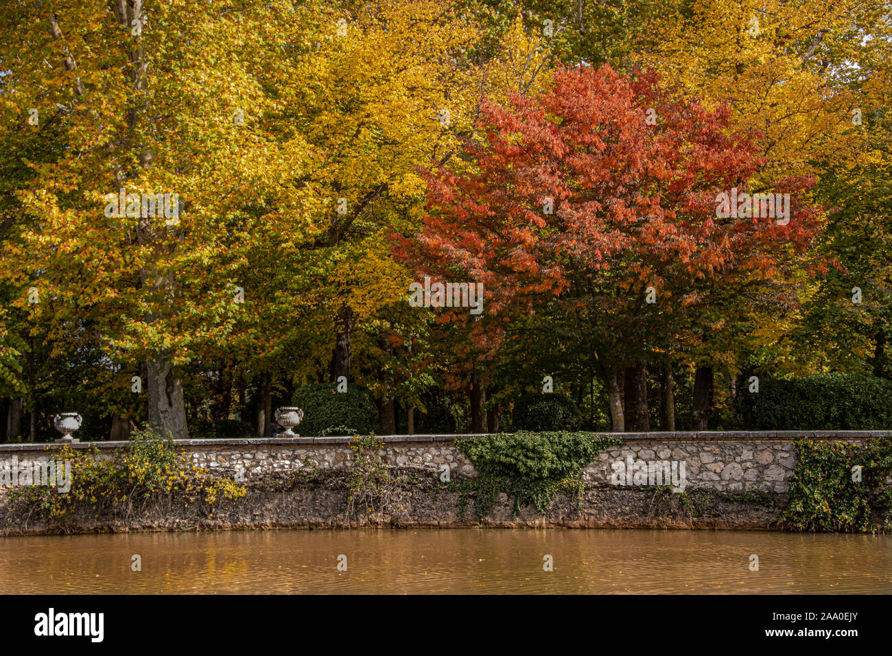 Tajo river bank as it passes through the gardens of Aranjuez one autumn day. Madrid's community. Spain Stock Photo