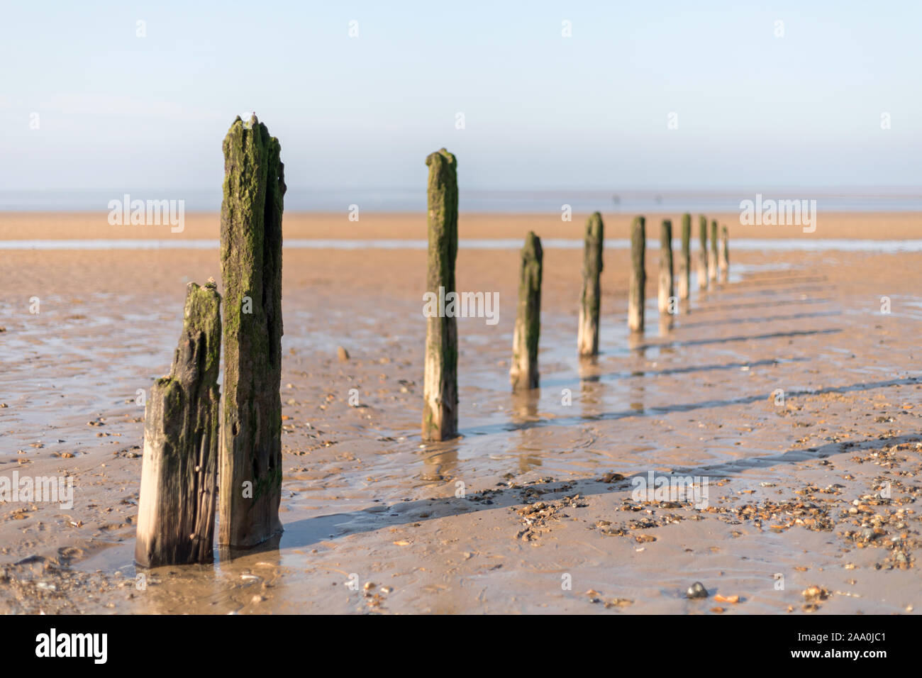 Old wooden posts on Brancaster Beach, North Norfolk, East Anglia, UK Stock Photo
