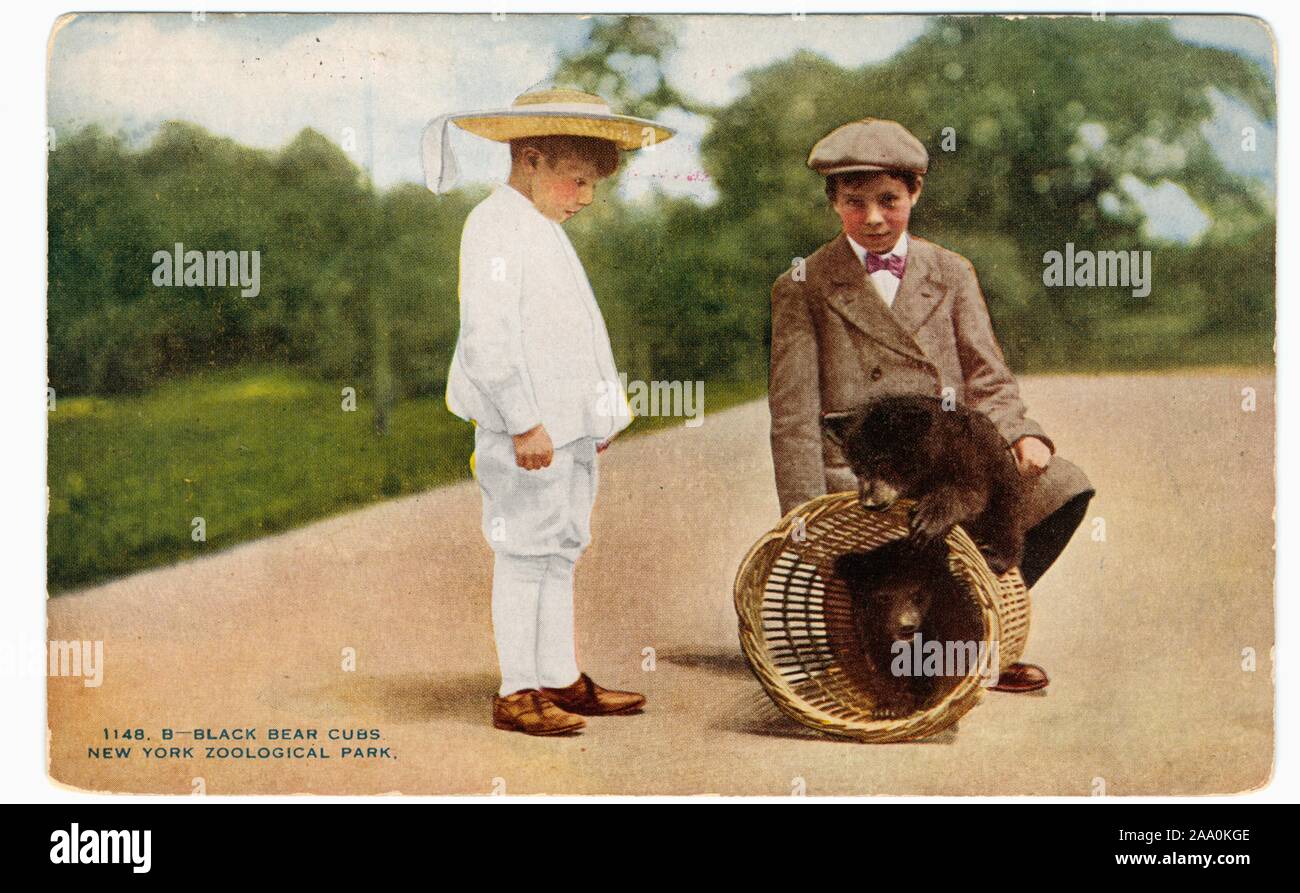 Illustrated postcard of two young boys playing with two black bear cubs at the New York City Zoological Park, now known as the Bronx Zoo, New York City, published by New York Zoological Society, 1914. From the New York Public Library. () Stock Photo