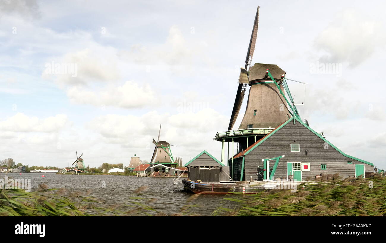 AMSTERDAM, NETHERLANDS-OCTOBER, 12, 2017: windblown reeds and windmills at zaanse schans near amsterdam Stock Photo