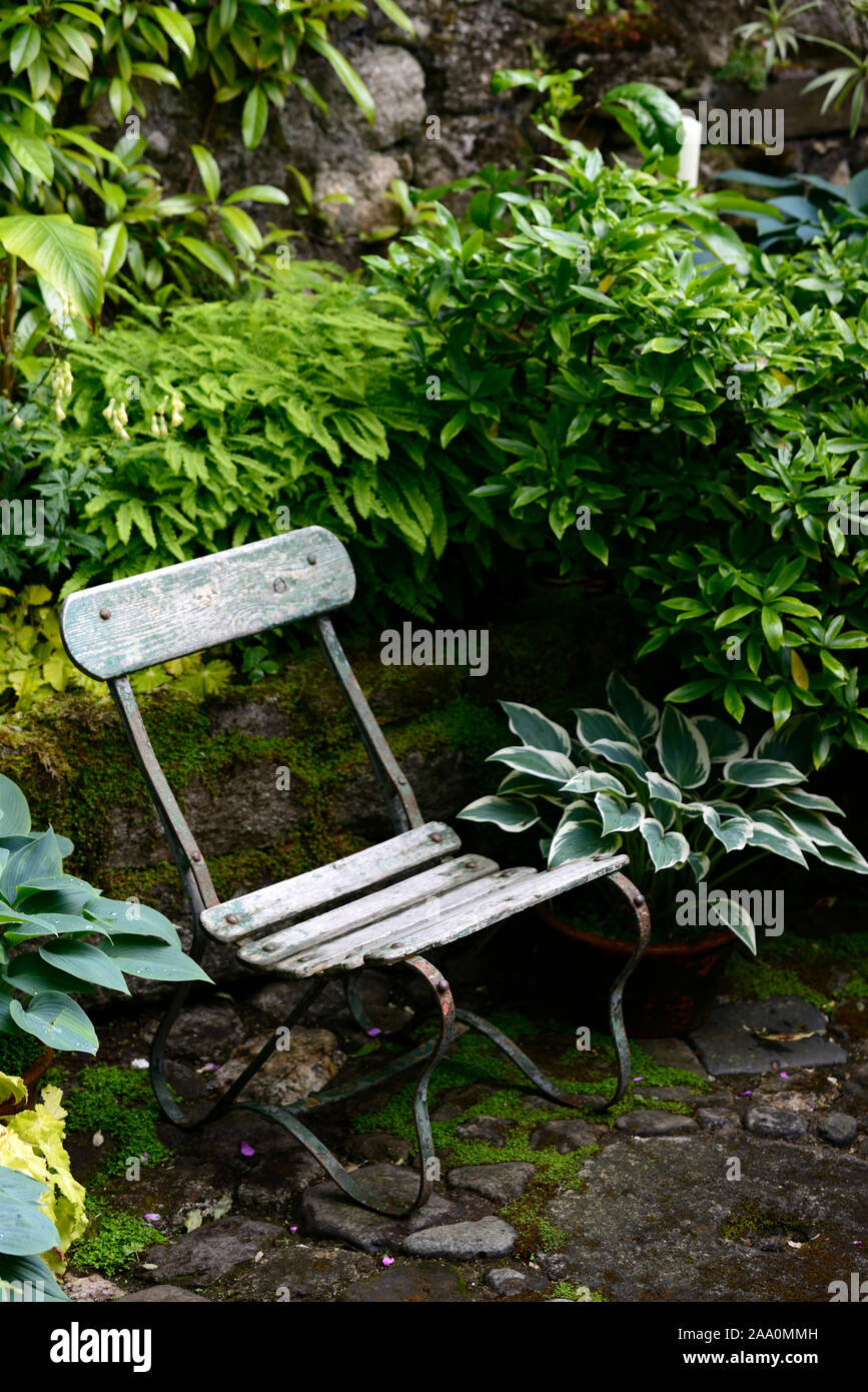 Wood Wooden Garden Bench Seat Shaded Patio Hosta Dryopteris Mix