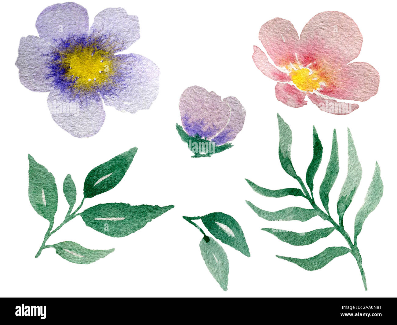 set of watercolor flowers, flower elements for design isolated on white ...