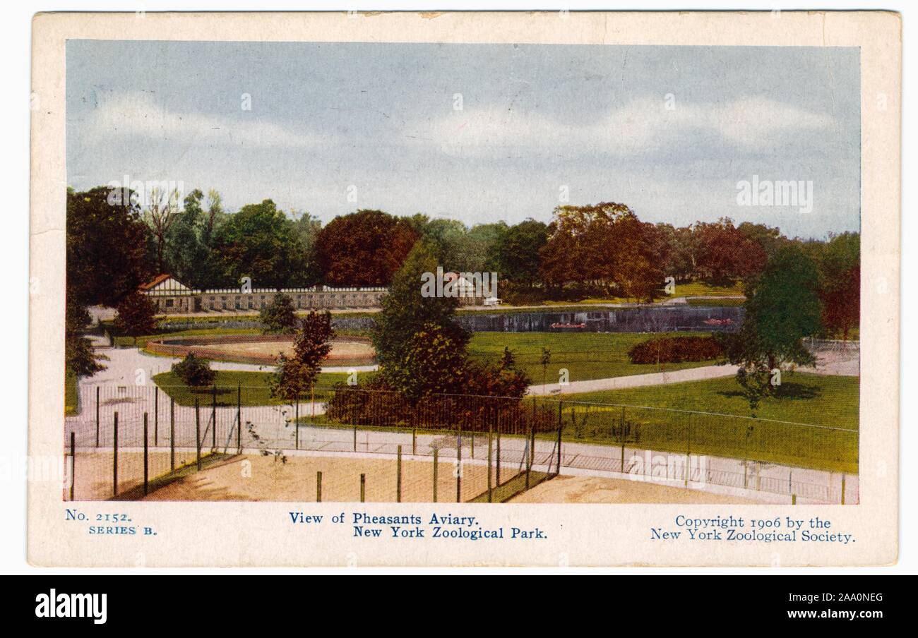 Illustrated postcard of the pheasant aviary at the New York City 