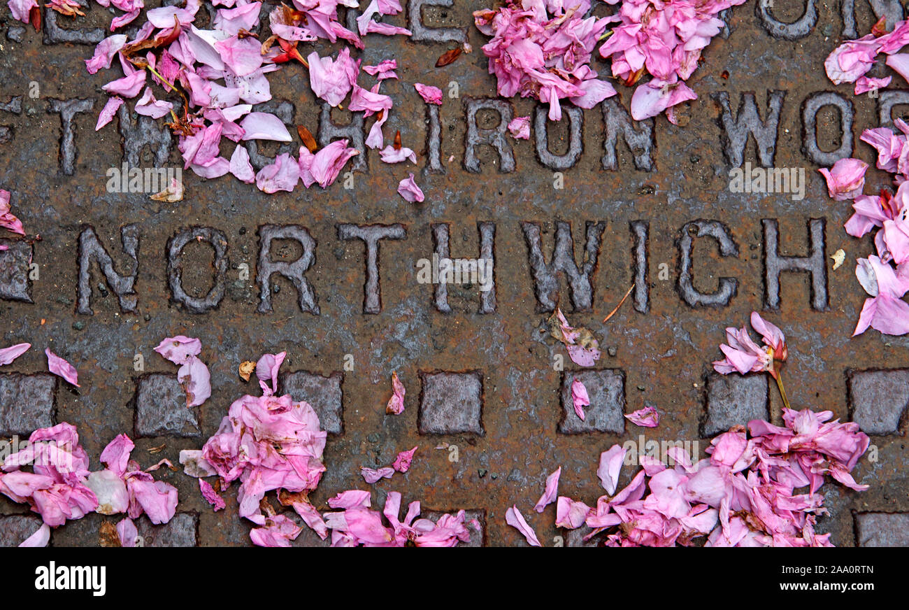 Cast Iron Grid embossed Northwich, in the spring with pink apple blossom, Cheshire, England, UK, CW8 1AJ Stock Photo