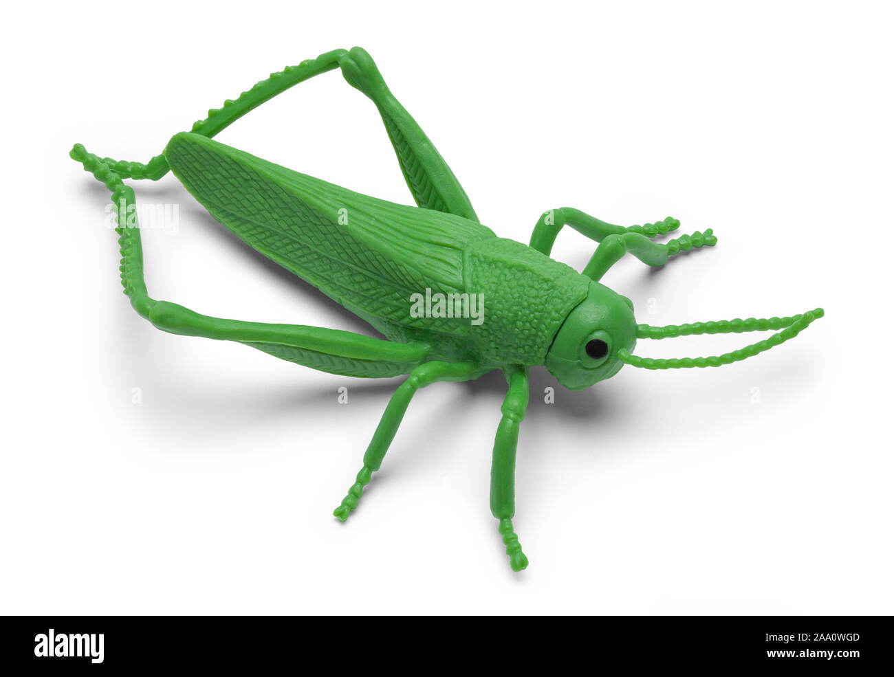 plastic grasshopper toys