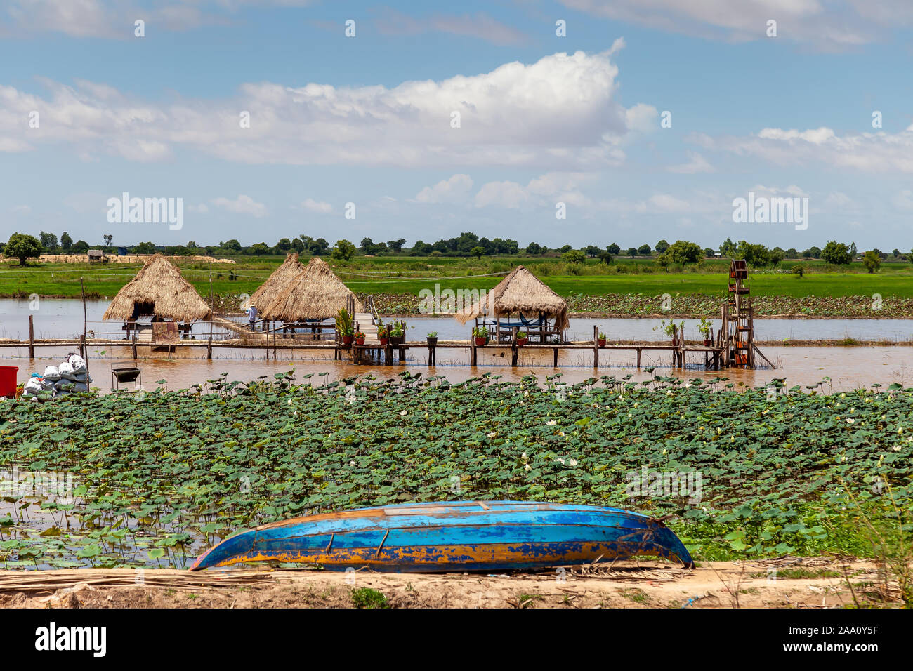 Small lotus farm. Sheds with roof made of reed are sitting in the water almost floating. A blue boat adds to the idyllic scene. Stock Photo