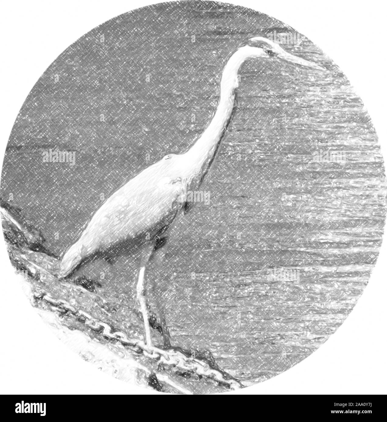 Digital pencil sketch of a British Grey Heron by a river in circular format Stock Photo