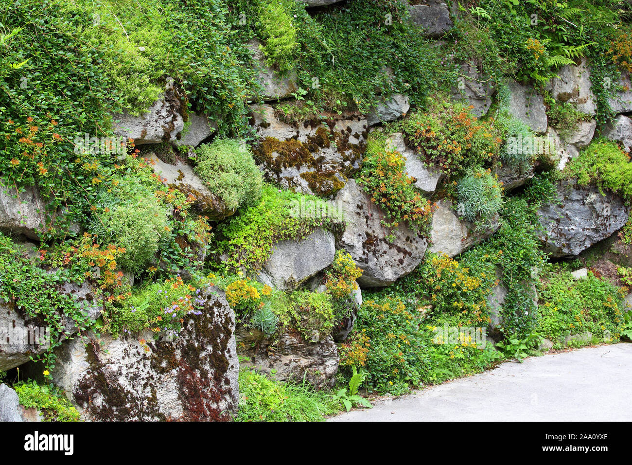 Bewachsene Trockensteinmauer oder Trockenmauer aus gro0en Steinblöcken, Bodensee, Steiermark, Österreich Stock Photo