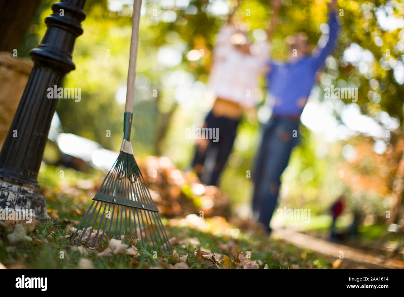 Couple playing leaves hi-res stock photography and images - Alamy