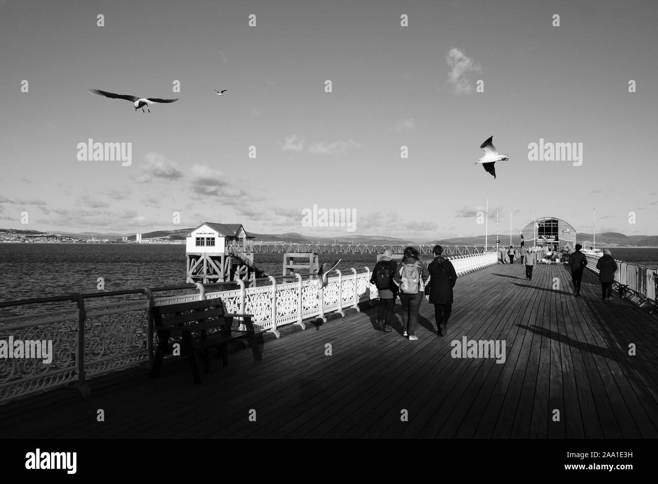Mumbles Pier looking towards the RNLI Lifeboat Station at the end and on to Port Talbot on the horizon as Seagulls drift overhead on currents of air Stock Photo