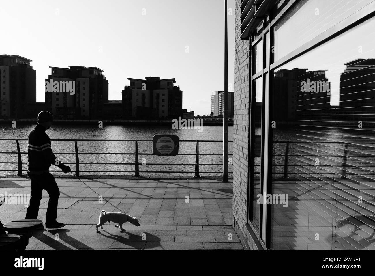Dog walker walking the terrier Jack Russell dog on a lead on the quayside at Swansea Marina in semi silhouette in Wales UK Stock Photo