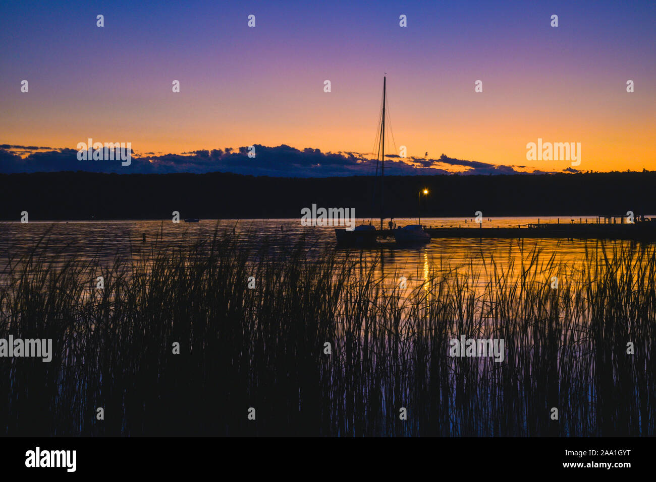 Reed grasses hi-res stock photography and images - Alamy