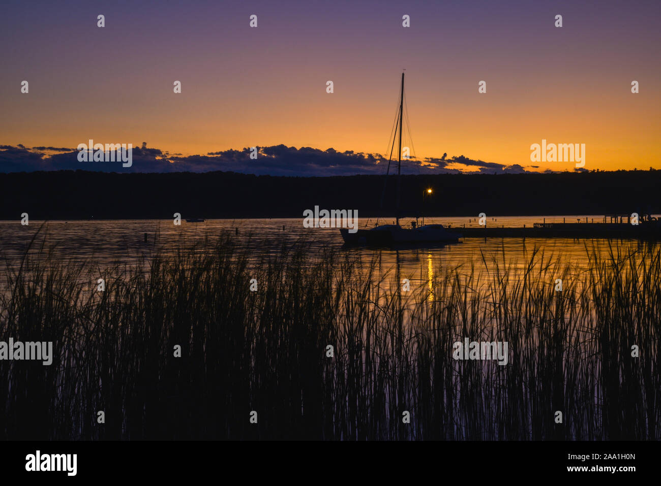 Reed grasses hi-res stock photography and images - Alamy