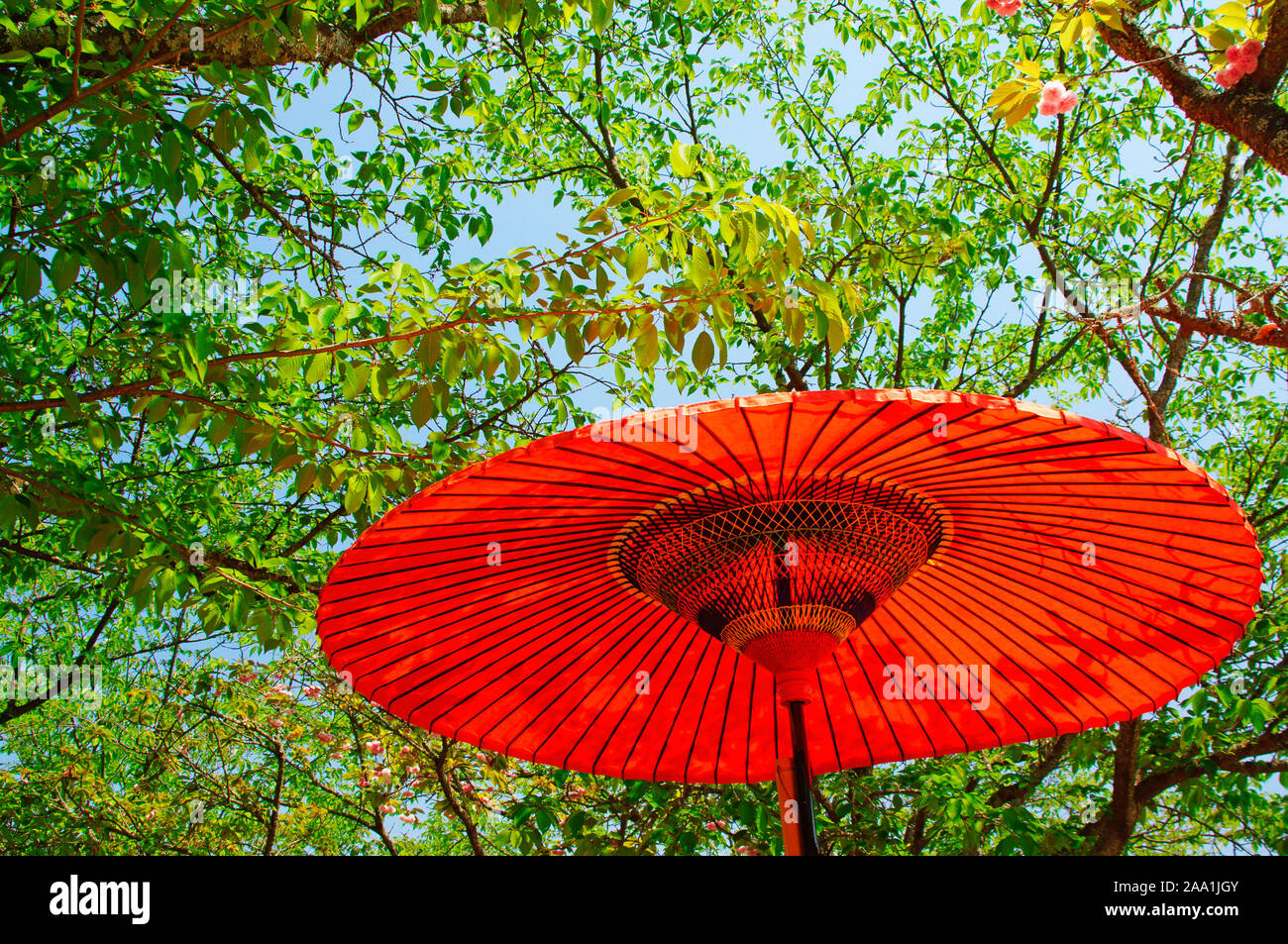Bangasa (Japanese traditional paper umbrella Stock Photo Alamy