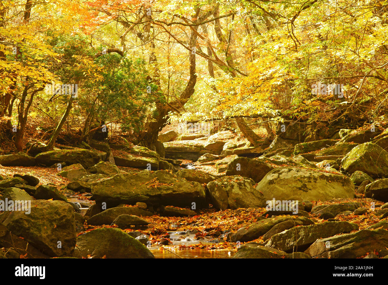 Mazeno Valley, autumn Stock Photo - Alamy