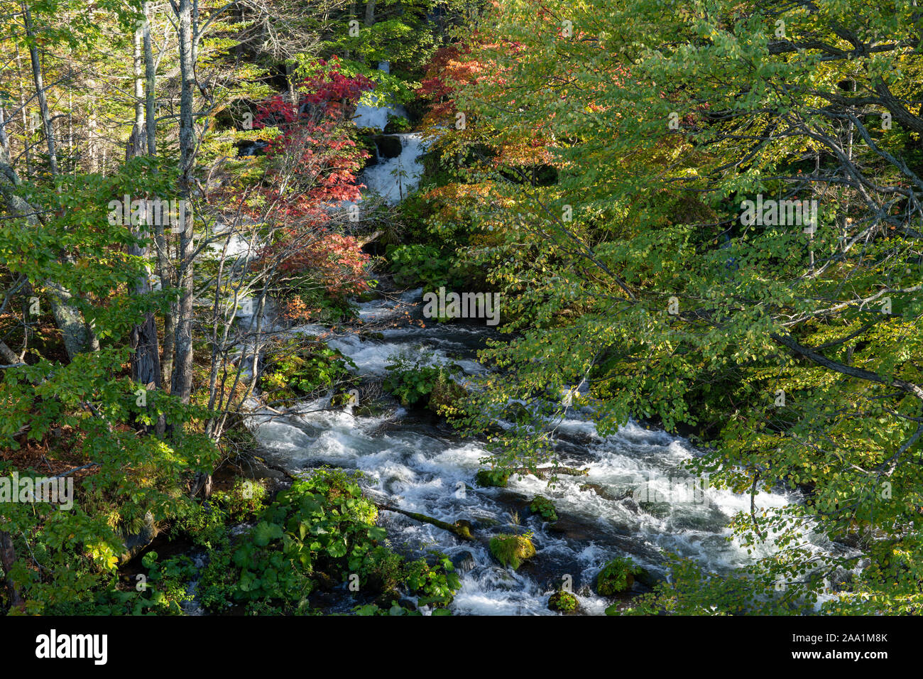 Death by stream hi-res stock photography and images - Alamy