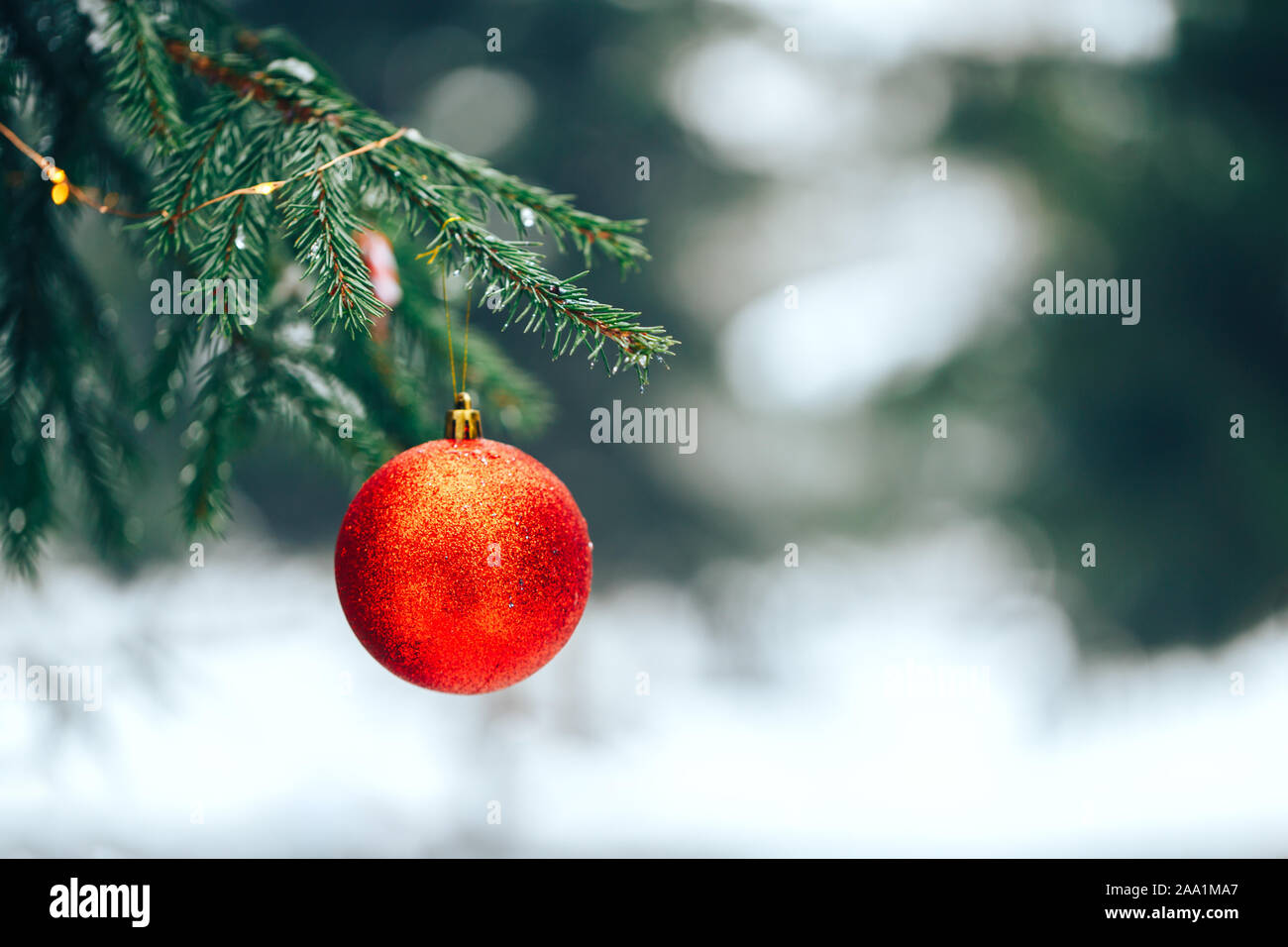 Christmas balls on tree outdoor Stock Photo - Alamy