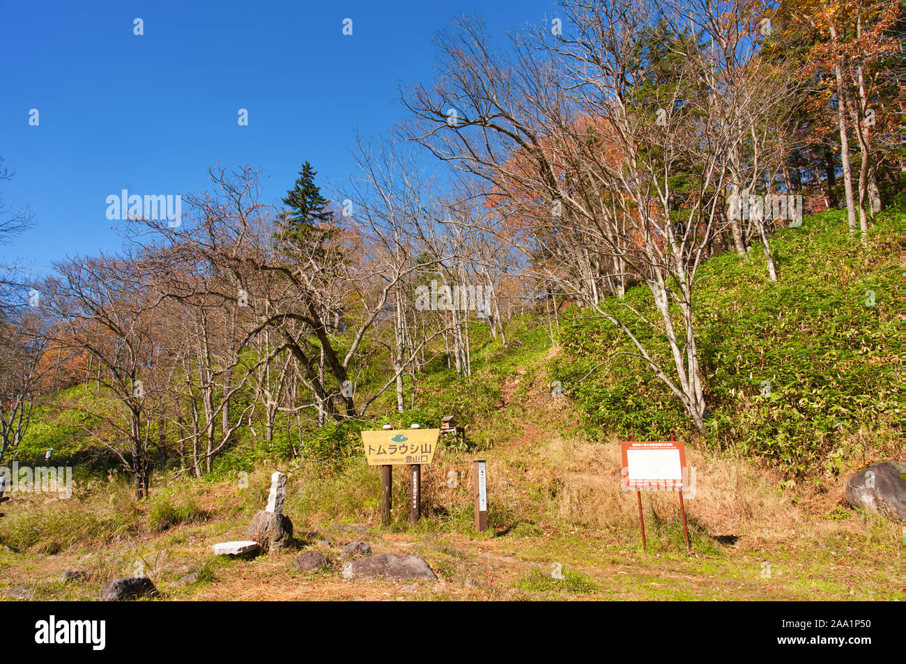 Maple Leaf Sports Entertainment Hi Res Stock Photography And Images Alamy