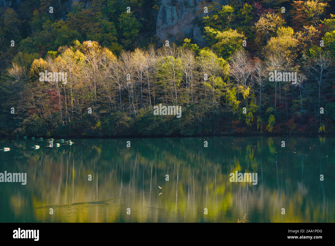 Autumn foliage and Lake Stock Photo - Alamy