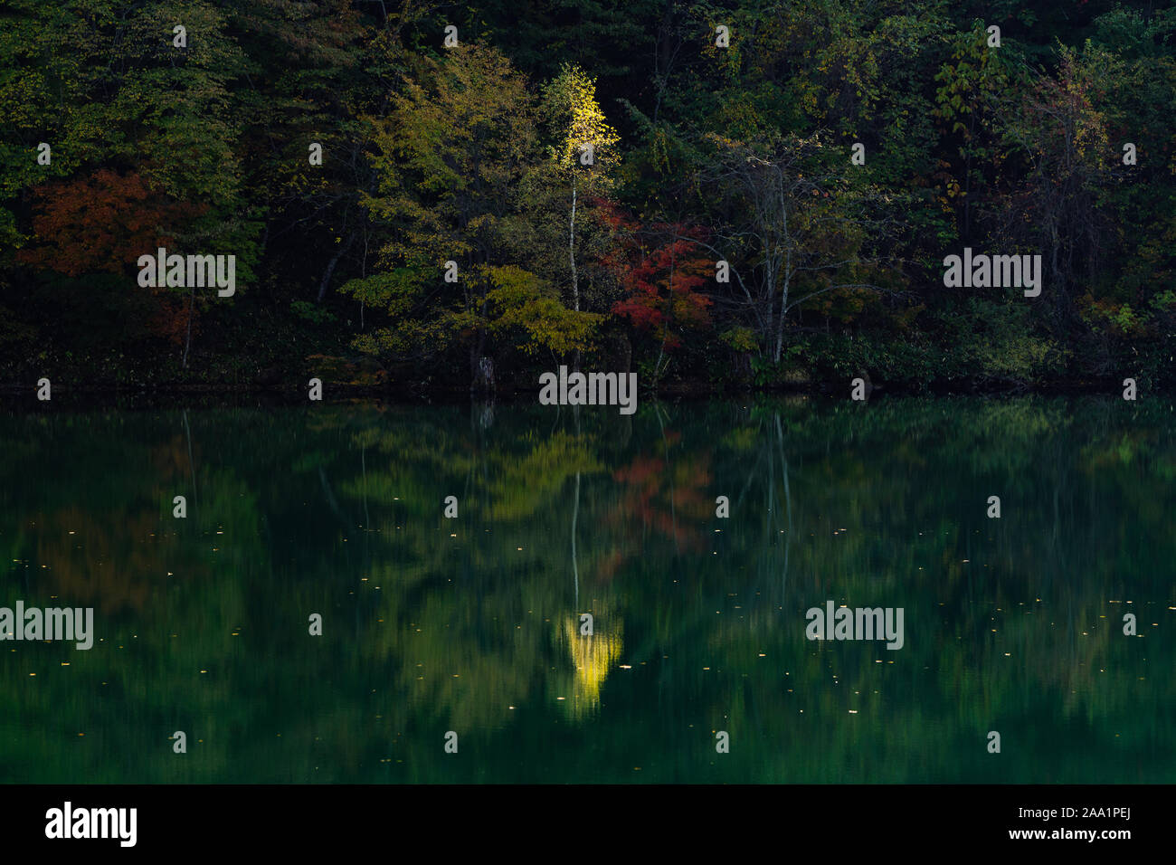Autumn foliage and Lake Stock Photo - Alamy